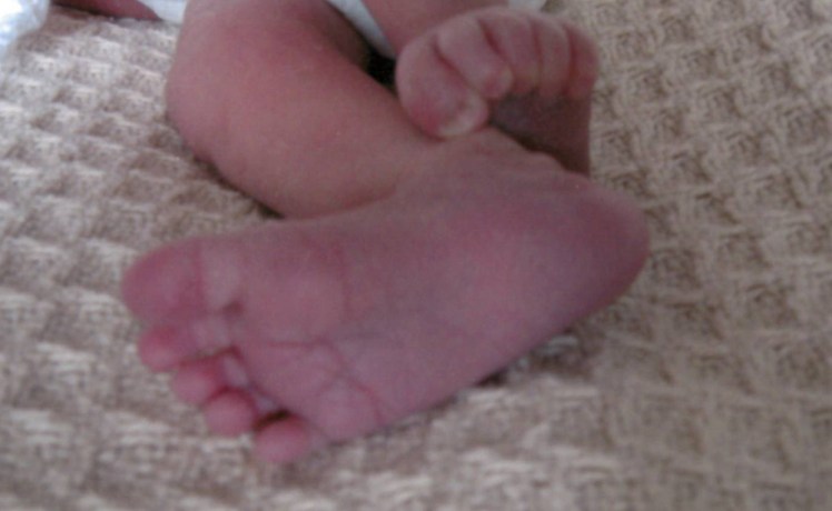LittleMouse foot