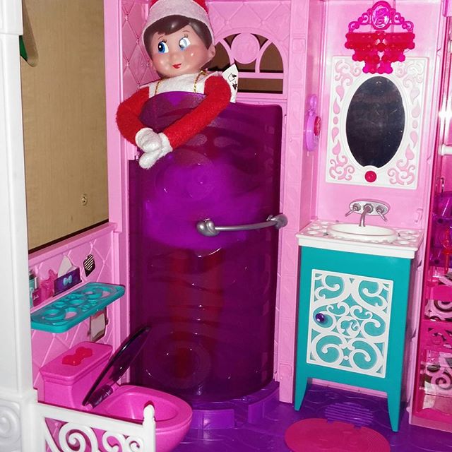 12357631_425871887607576_2054002296_n