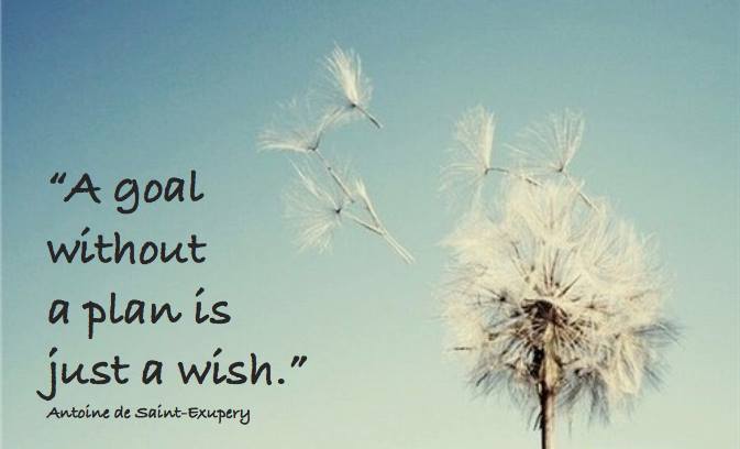 SUCCESSFUL-PEOPLE-FOLLOW-THEIR-PLAN1