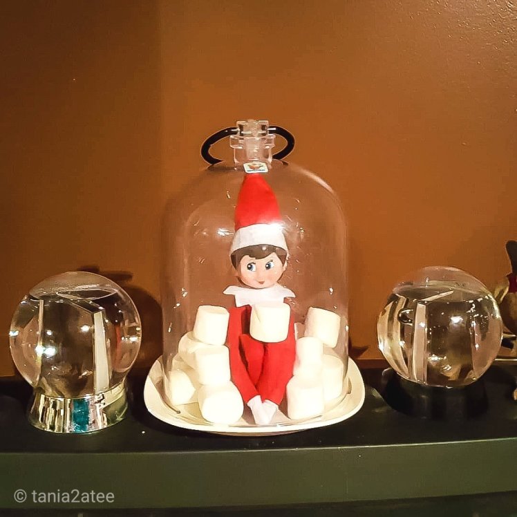 Snowflake the Elf on the Shelf pretends to be a Snowglobe: tania2atee