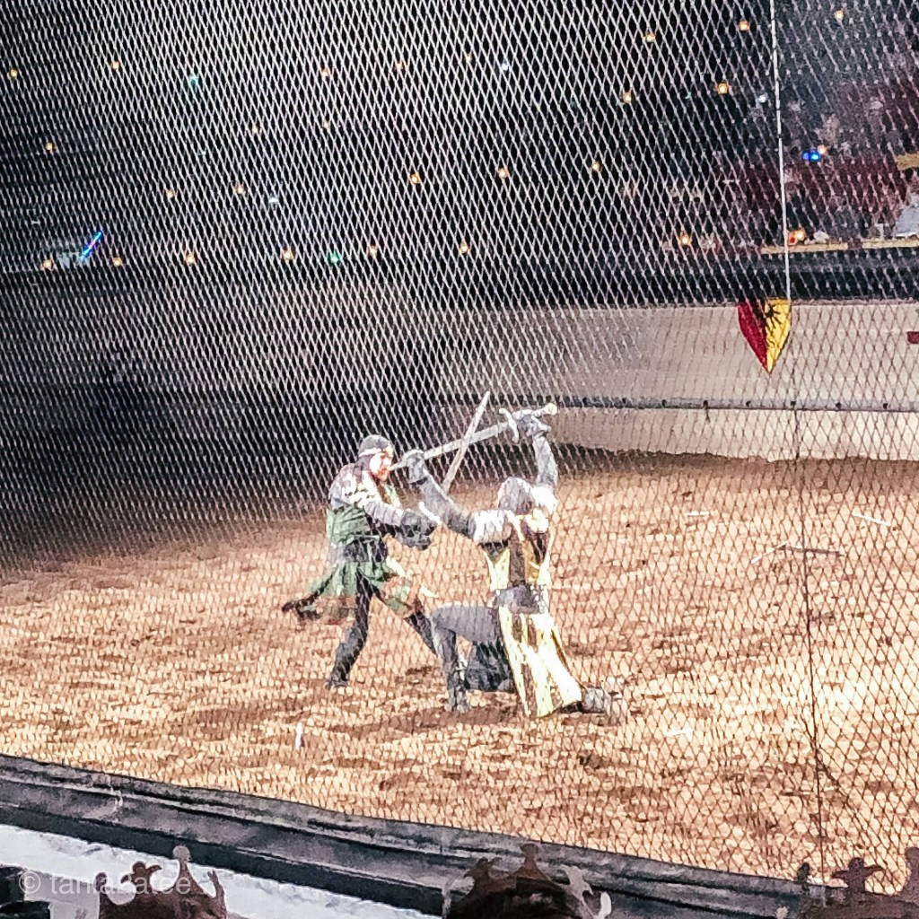 Medieval-Times-two-knights-in-battle
