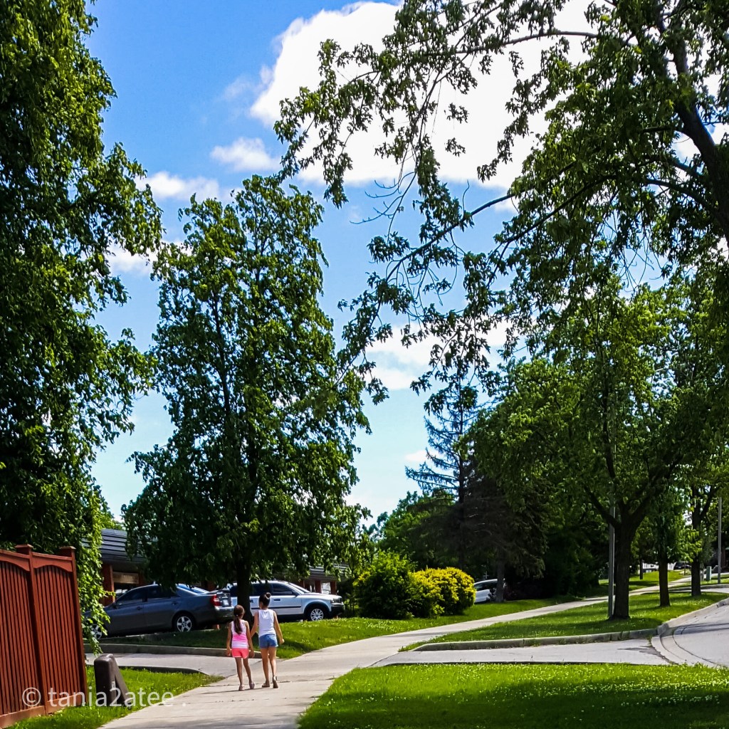 two girls walking on the sidewalk with trees all around